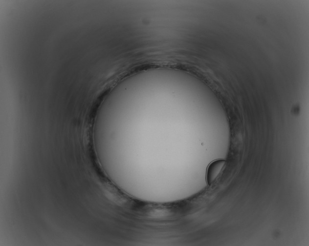 X0000096700658200802051102