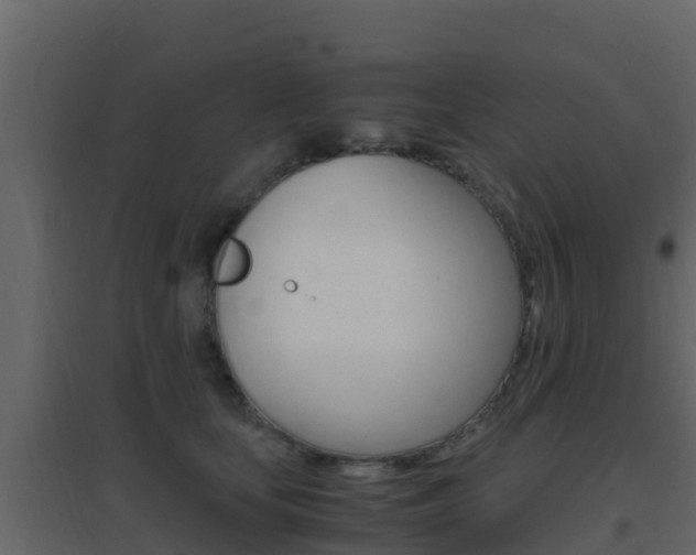 X0000096700659200802051102