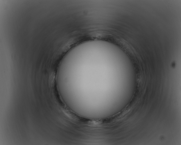 X0000096700660200802051102