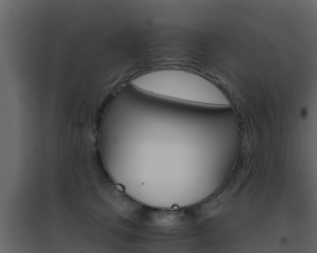 X0000096700661200802051102