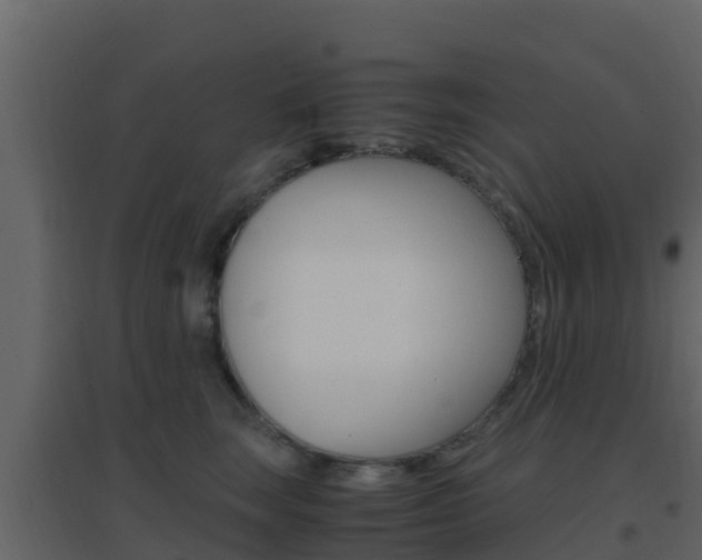 X0000096700663200802051102