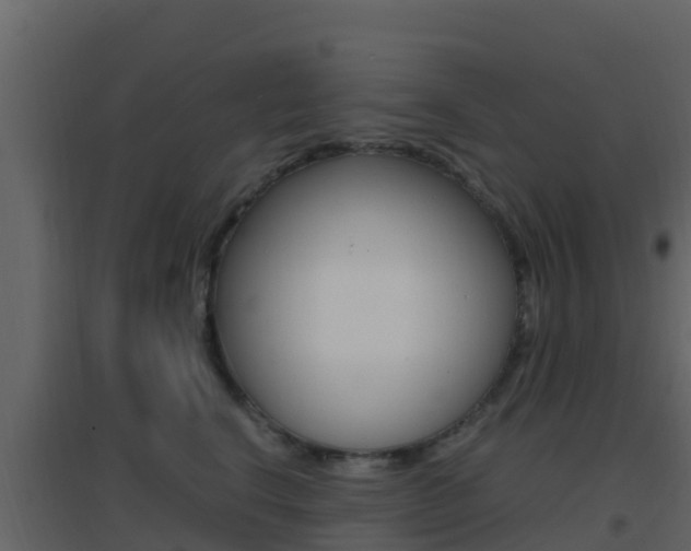 X0000096700664200802051102