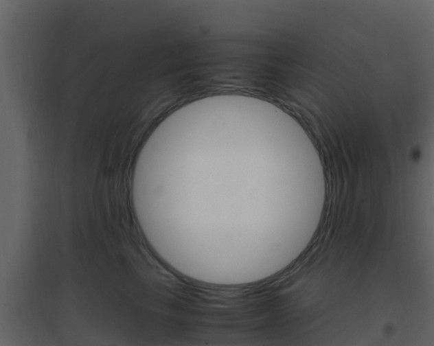 X0000096700665200802051102