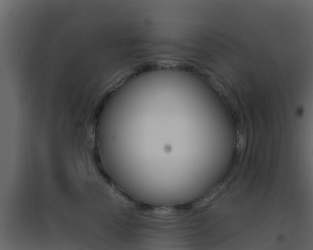 X0000096700666200802051102