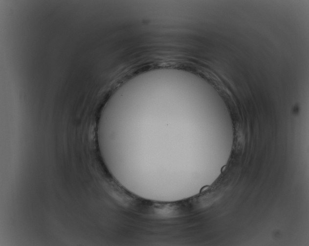 X0000096700667200802051102