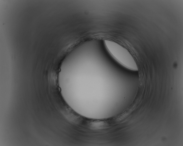 X0000096700669200802051102
