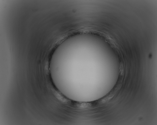 X0000096700670200802051102