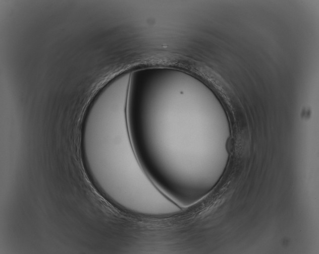 X0000096700673200802051102