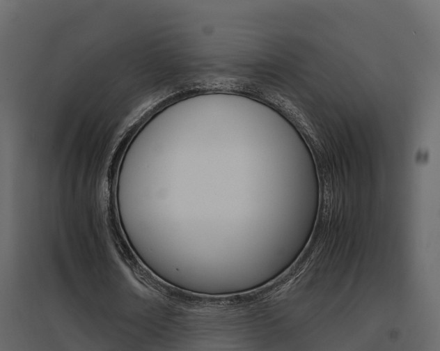 X0000096700674200802051102
