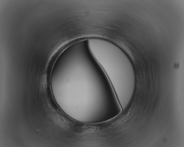 X0000096700676200802051102