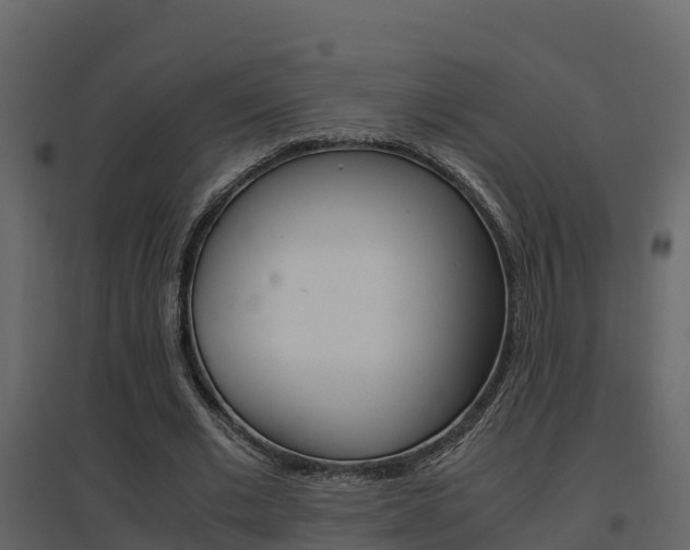 X0000096700677200802051102