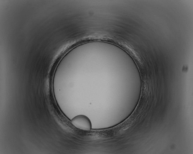 X0000096700678200802051102