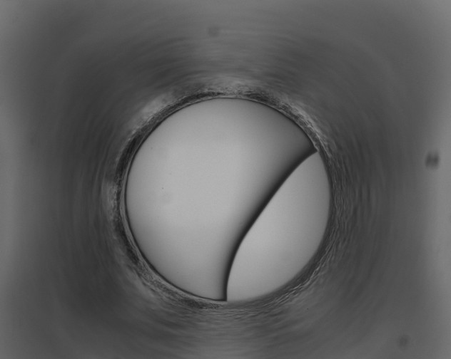 X0000096700679200802051102