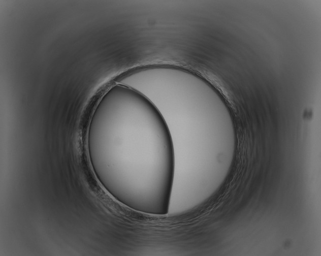 X0000096700680200802051102