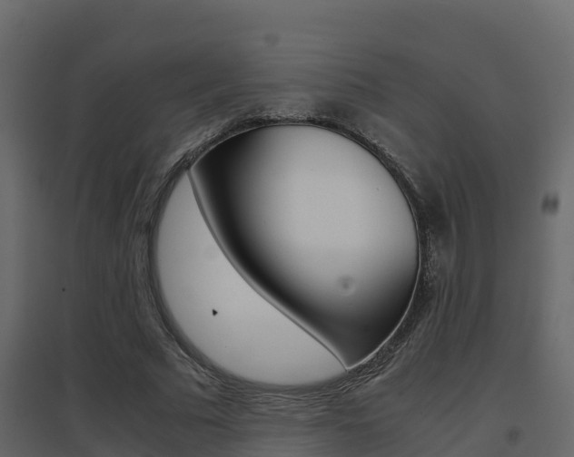 X0000096700681200802051102