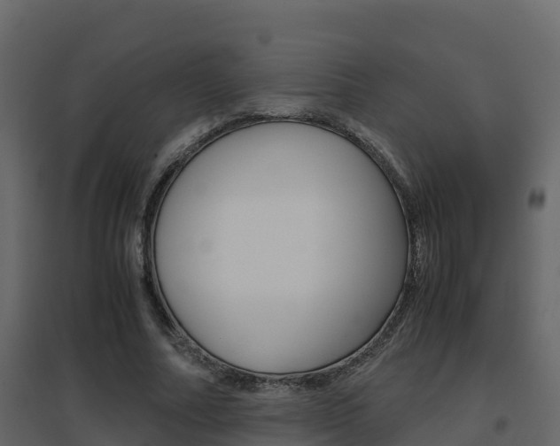 X0000096700682200802051102