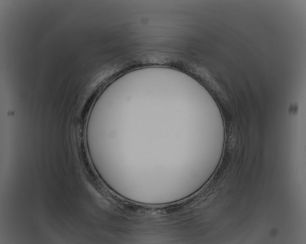 X0000096700683200802051102