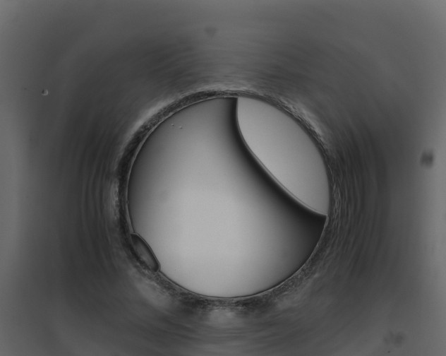 X0000096700684200802051102