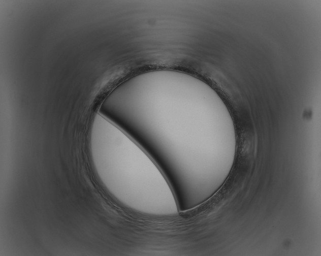 X0000096700685200802051102