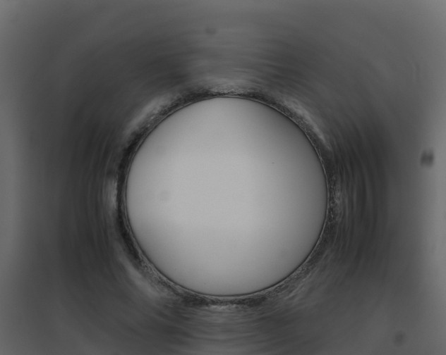 X0000096700686200802051101