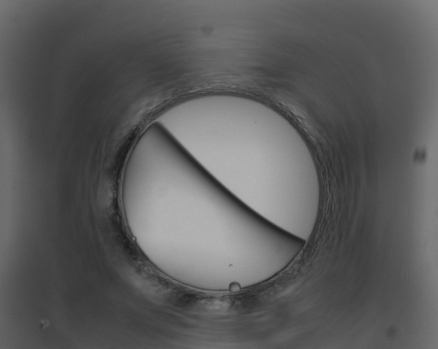 X0000096700687200802051101