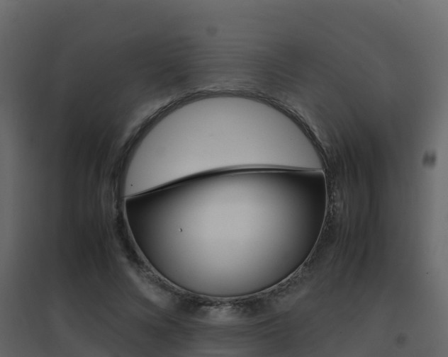 X0000096700688200802051101