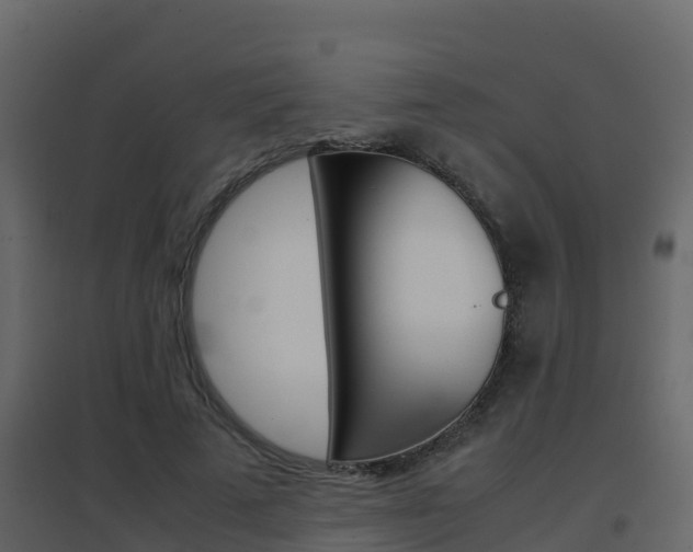 X0000096700689200802051101