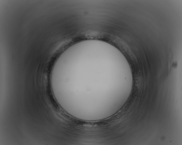 X0000096700690200802051101