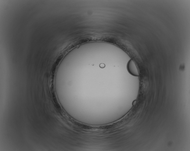 X0000096700691200802051101