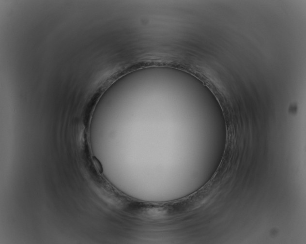 X0000096700692200802051101