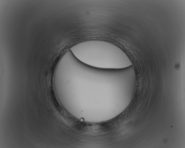 X0000096700695200802051101