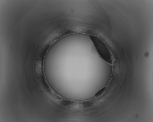 X0000096700696200802051101