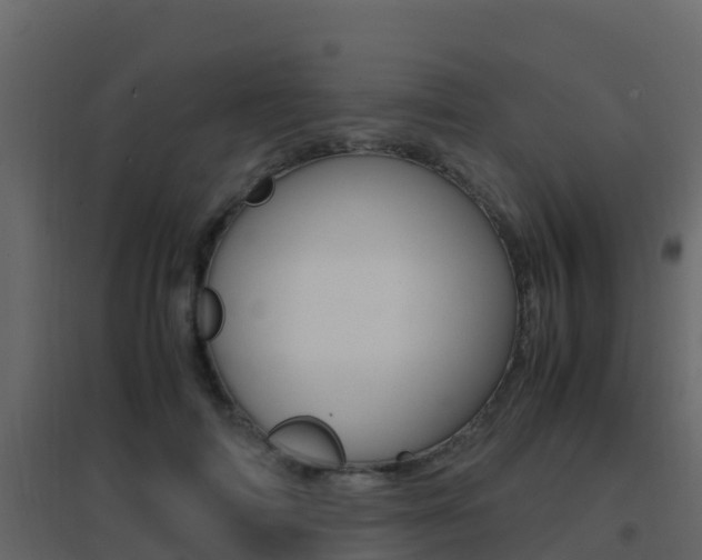 X0000096700698200802051101