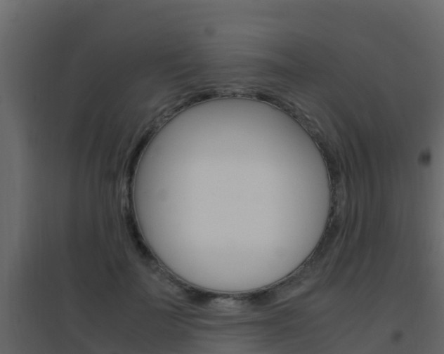 X0000096700699200802051101