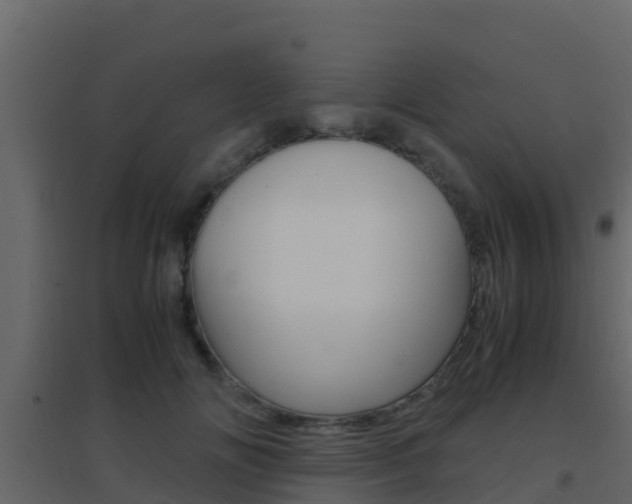 X0000096700702200802051101