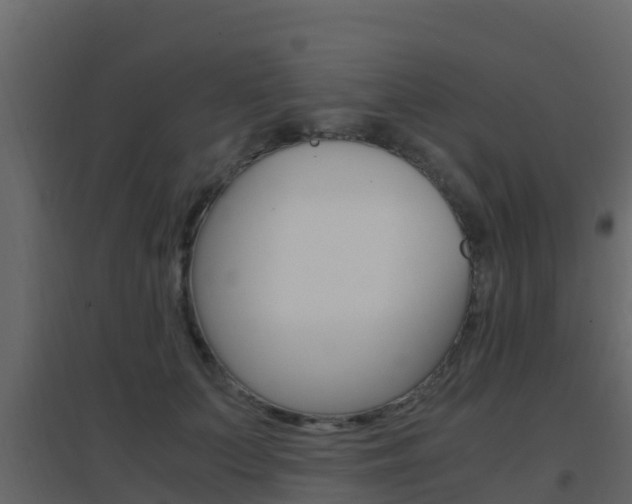 X0000096700703200802051101