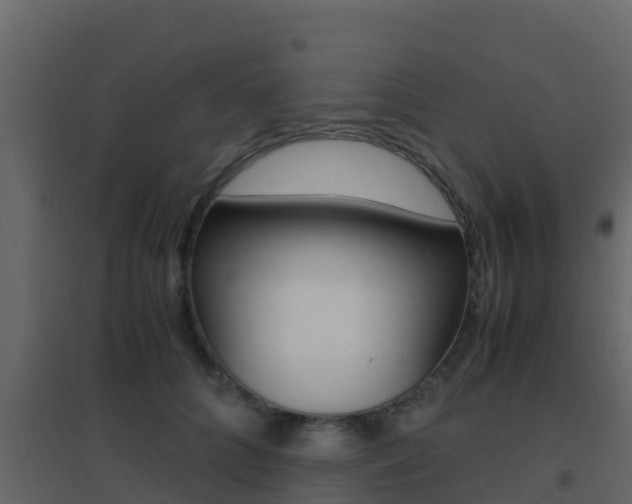 X0000096700704200802051101