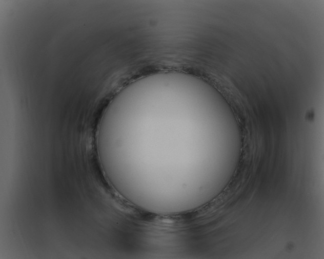 X0000096700706200802051101