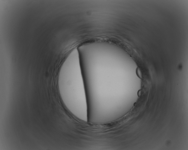X0000096700707200802051101