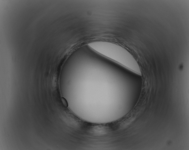 X0000096700708200802051101
