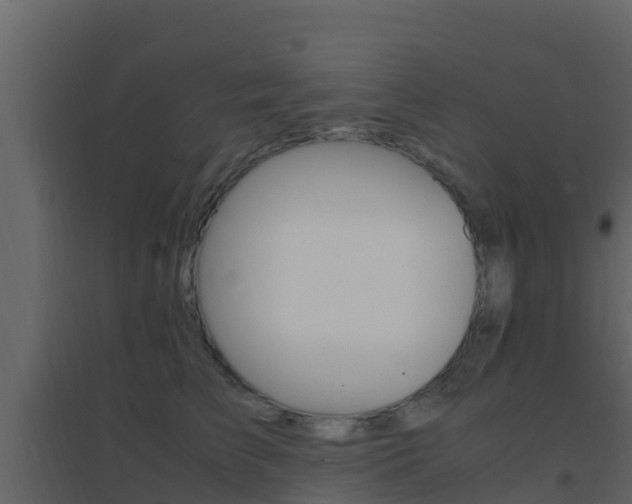 X0000096700709200802051101