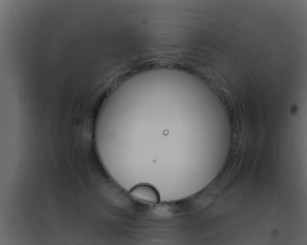 X0000096700710200802051101