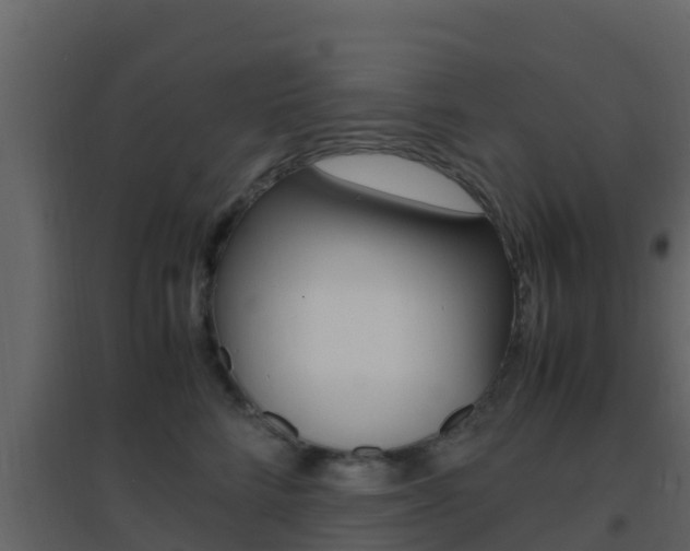 X0000096700712200802051101