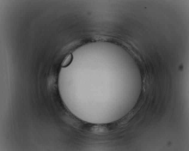 X0000096700714200802051101