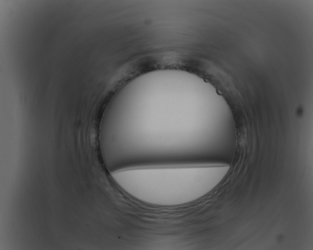 X0000096700715200802051101