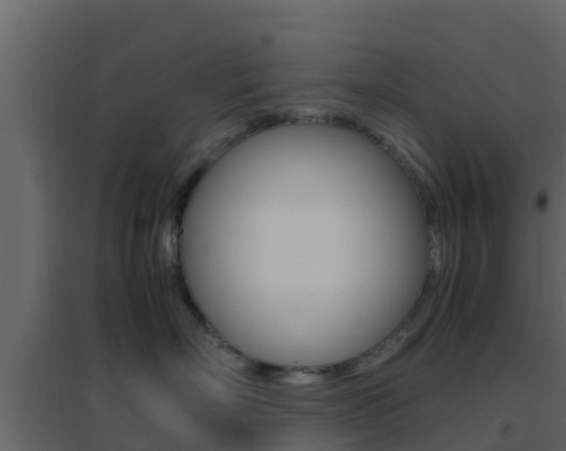 X0000096700718200802051101