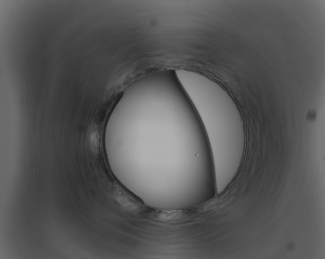 X0000096700720200802051101