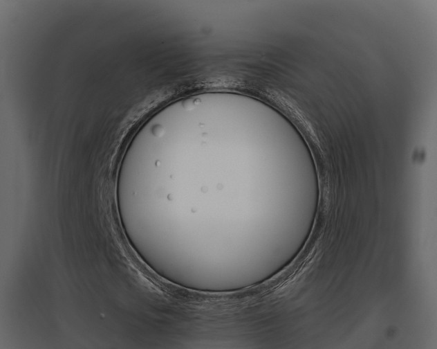X0000096700721200802051100