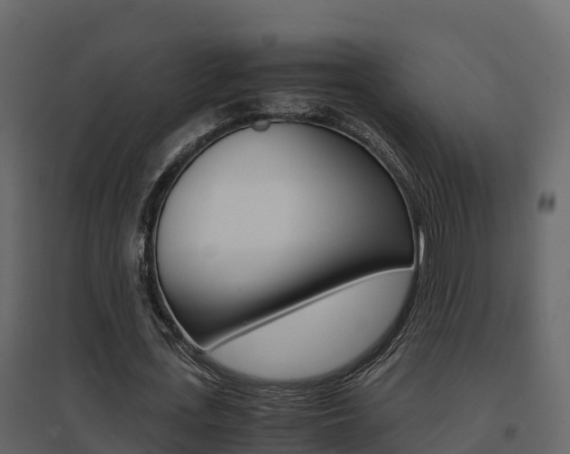 X0000096700723200802051100