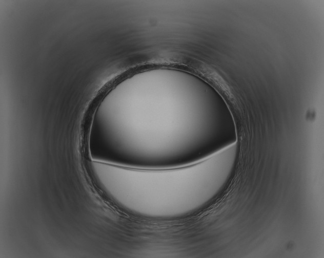 X0000096700724200802051100